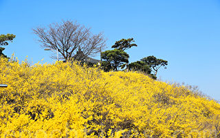 立春回味节气文明  迎春养生就吃这一盘