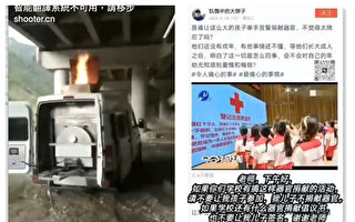 “宠物移动火化车”现街头 民众忧被器官移植