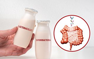 肠道好不发胖！2024年养出肠道好菌6秘诀