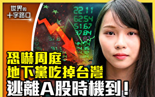 【十字路口】中国股市暴跌反弹 逃离A股时机到