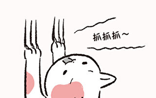 猫行为解读：磨爪搞破坏 家俱破破烂烂