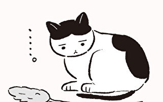 猫行为解读：为何喜欢的逗猫棒不玩了？