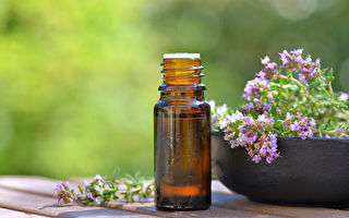 可提高工作生产力的秘密武器 你可能不知道