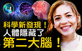 【未解之谜】人腹内藏着的另一个“大脑”