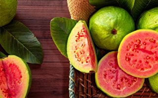 番石榴是良药 抗炎抗癌缓解疼痛 3类人要小心吃