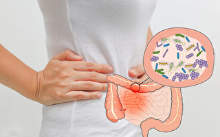 肠道可自制镇定剂 关键在平衡的肠道菌相