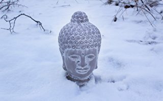 身上覆满白雪 印度修行者山区打坐画面惊人