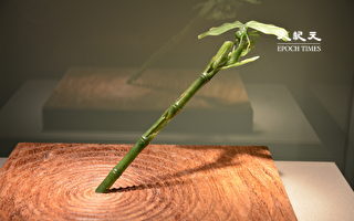 【古道人生】曾遭亲戚白眼相看的他 因何成巨富？