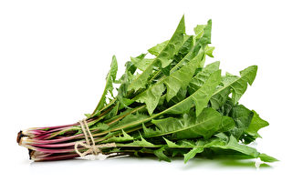 春季爱发火？消炎解毒 蒲公英是养肝宝物