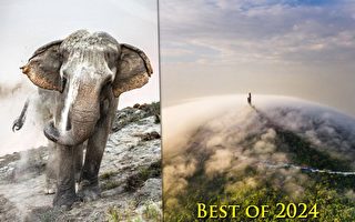 组图：2024年索尼世界摄影大赛获奖作品