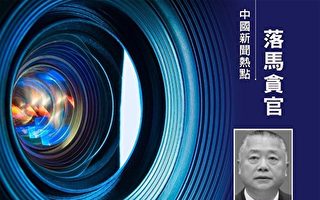 前中共公安部长助理刘跃进落马内幕