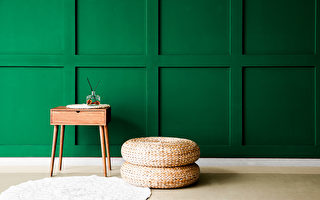 每日更新:春天里的素色清道夫 不知疲倦