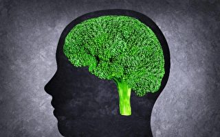 西兰花中的化合物有助于溶解血栓和预防中风