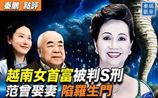 【秦鹏观察】越南华女被判死刑 中国地产商慌了？