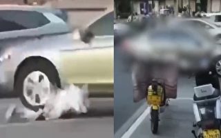 河南洛阳一女子被车反复辗压身亡