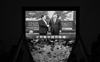 徐客：与马八年未见 习身高异常之谜