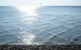 在海边戏水看到这种波浪要赶紧逃命