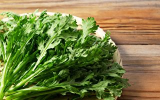 “帝王菜”一把春菊 护本固元 清心安神