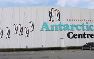 新西兰国际南极中心游记：不容错过的体验