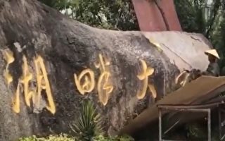 外籍教授几乎被“清零” 分析：学术也是政治