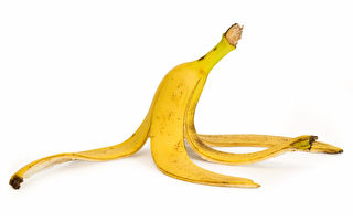 香蕉皮泡水可当肥料？ 看看专家有何意见