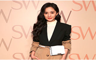 杨幂新片《火锅》票房惨淡 上映5天宣布撤档