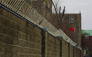 报告：打击中共干预 务必区分中共与中国人