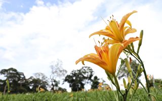 除了称母亲妈妈 你还可以这样说！