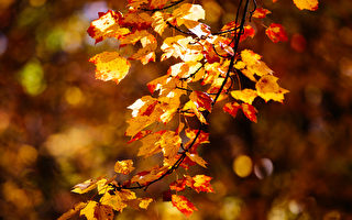 【古道人生】好心助人被骗财害命 冤魂不远千里追报