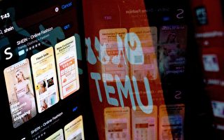 拼多多旗下Temu在美状告竞争对手Shein