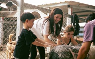 陈芳语率同门为流浪动物献爱 拍MV记录全过程