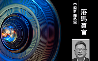 结交政治骗子 武汉前副市长王清华被双开