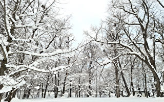 一个空间通连两个时空 奇特梦境竟然真实不虚