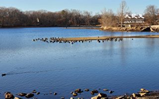 【古道人生】命中利北不利南 在南方一试难中 在北方则隆隆直上