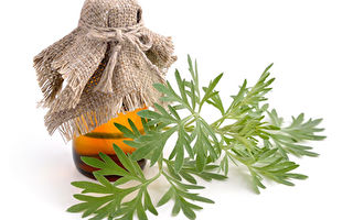 没有艾草的加持不是好端午