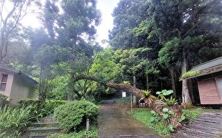 山林森呼吸 漫步林业遗迹桃园东眼山步道