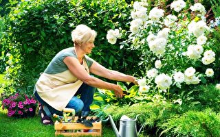 【名家专栏】经营自己花园好处多多