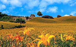 一段婆媳情让她人生遇转机