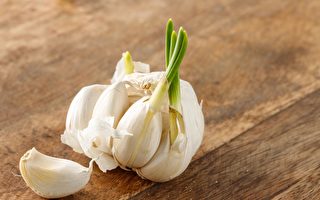 发芽蒜头营养大不同 可以这样吃