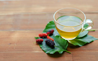 桑叶茶是长寿茶 清肺祛肝火 3类人不宜多喝