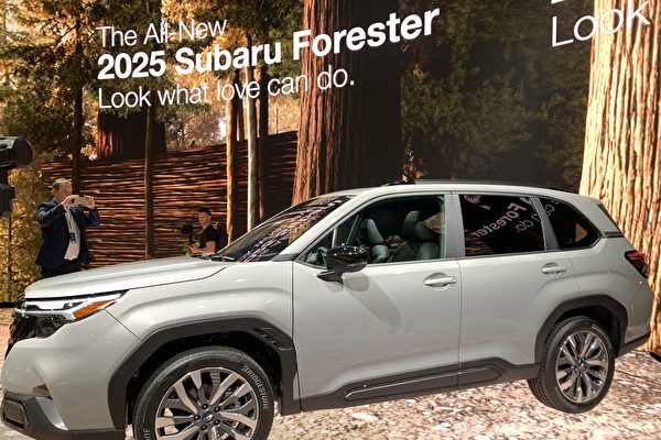 最适合大学生的14款2024年新车 日系车占8