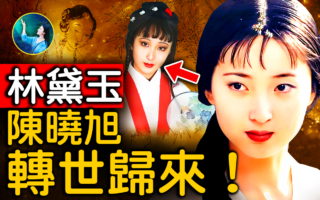 【未解之谜】“黛玉”再次转世归来？陈晓旭的四世轮回