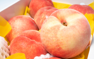 吃水蜜桃如何快速去果核？ 试试这个妙招