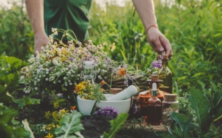 盘点健康的香草和香料 替你的料理加分
