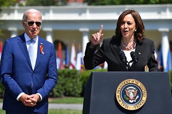 贺锦丽若成拜登继任者 竞选搭档有哪些人选