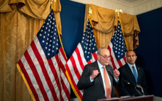 美参众两院民主党领袖为贺锦丽背书