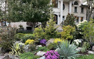 专业景观师设计 免费估价 收费合理 高效施工