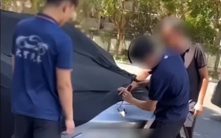 大陆一电动汽车自燃 厂家员工到场先撬车标