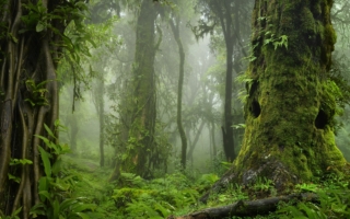【古道人生】徒弟偷了师父剑谱 结局意外曲折