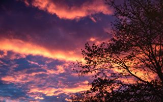 奇闻异事：鱼肉动物从天而降 竟然个个都是预兆？